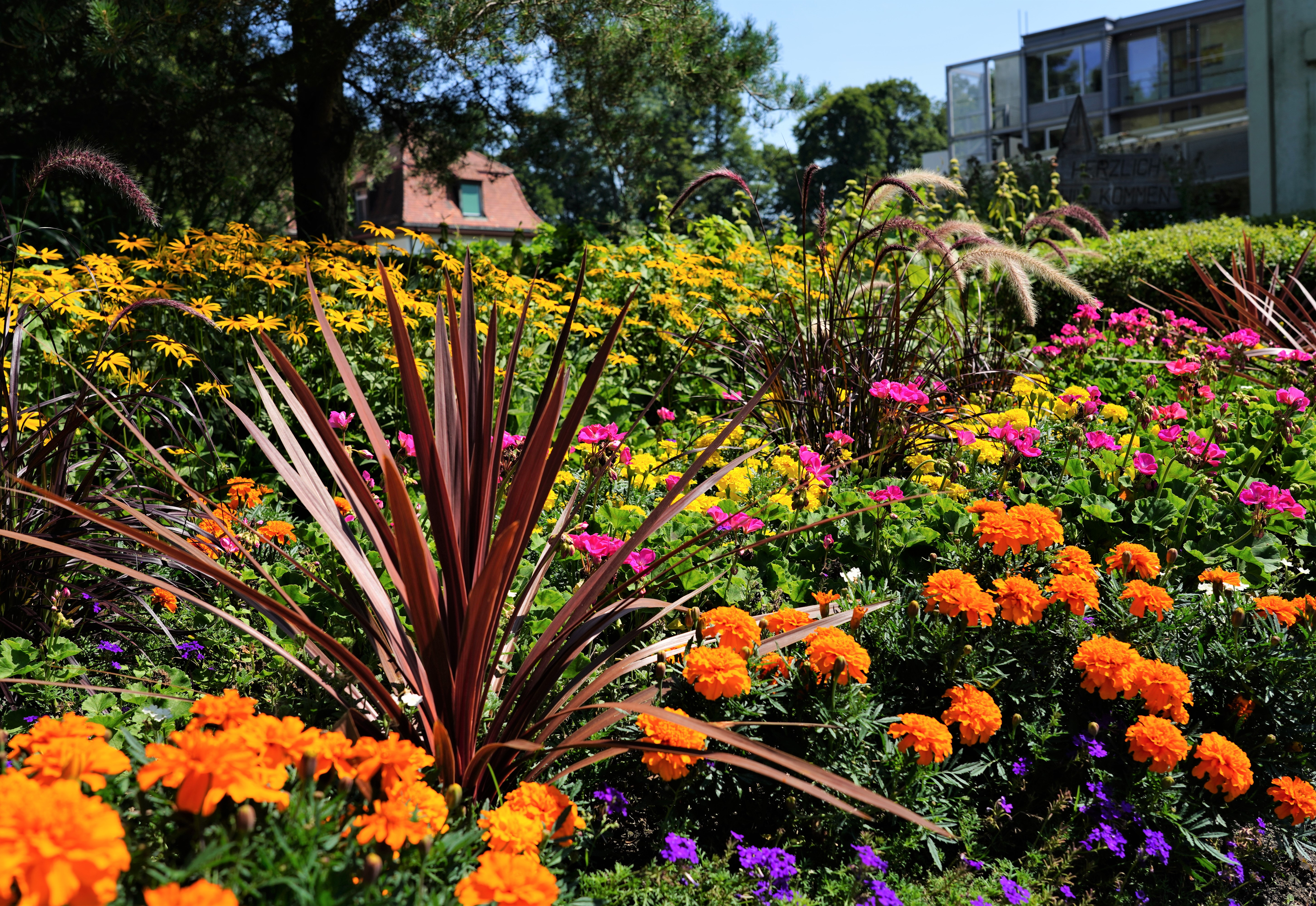 Blumengruss vor dem Haus 3